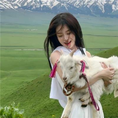 东京女子图鉴 在线观看封面